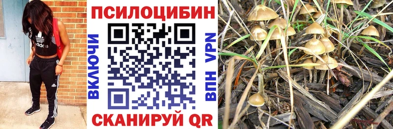 Купить где  Каспийск  Псилоцибиновые грибы прущие грибы 